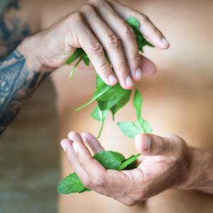  Żel pod prysznic 3 w 1 dla mężczyzn Energy of mint butelka 500 ml