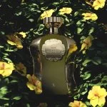Afnan Highness X woda perfumowana dla mężczyzn