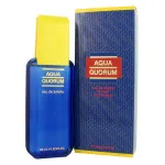 Agua Quorum woda toaletowa dla mężczyzn 100 ml