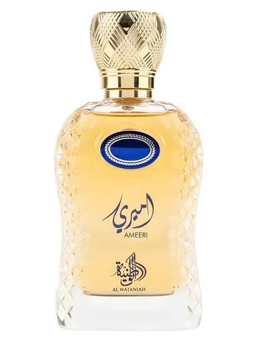 Ameeri U woda perfumowana 100 ml