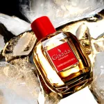 Ambassadora For Women woda perfumowana dla kobiet 100 ml