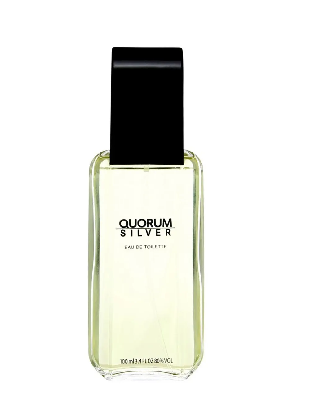 Quorum Silver woda toaletowa 100 ml dla mężczyzn