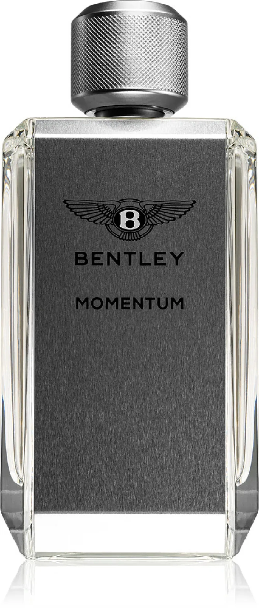 Momentum woda toaletowa dla mężczyzn 100 ml