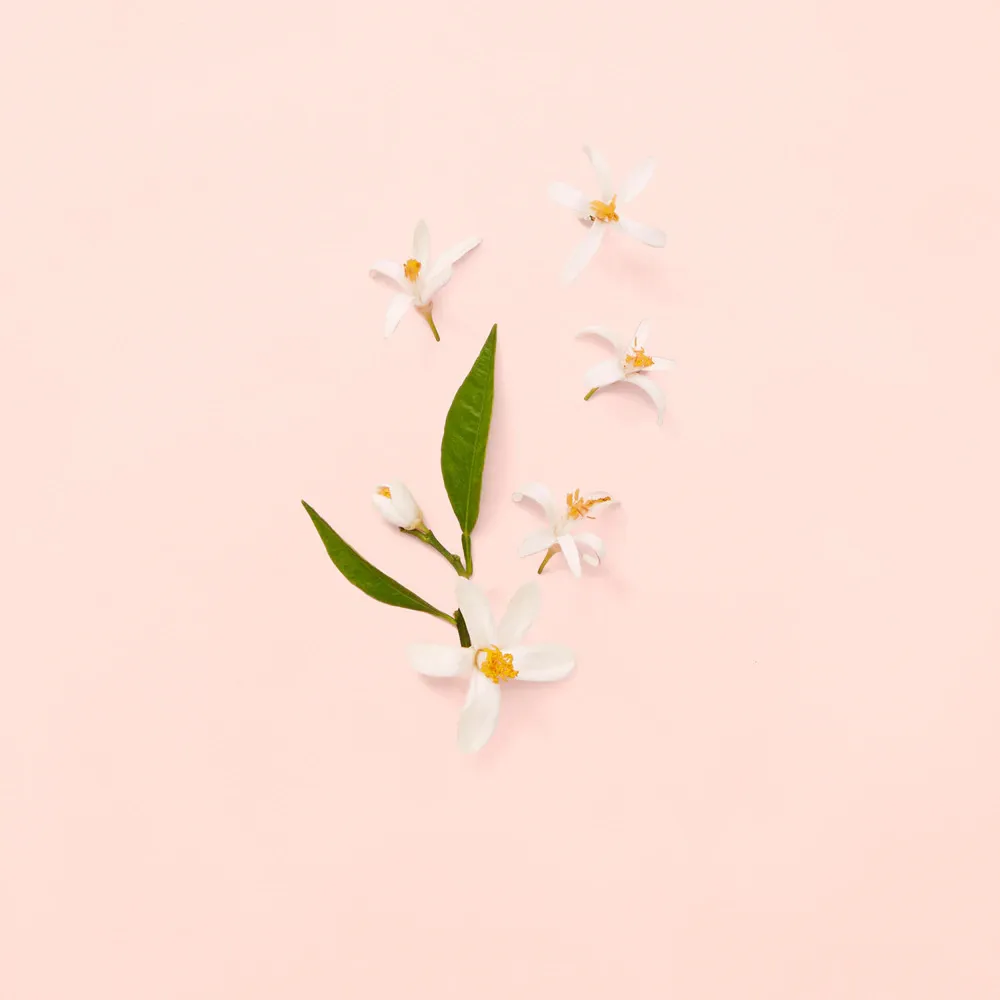 Bloom woda toaletowa dla kobiet 100 ml