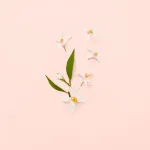 Bloom woda toaletowa dla kobiet 100 ml