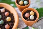 Blossombs Bomba nasienna - Dekoracja prezentowa „Najlepsi przyjaciele” - Ptaszek (1 szt.)