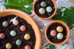 Blossombs Bomby nasienne - Zestaw prezentowy mini - Za wszystko po tysiąckroć dziękuję (4 szt.) - podaruj kwiat inaczej