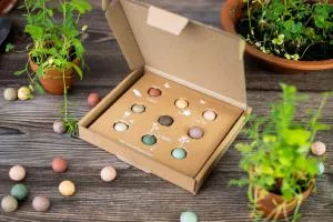 Blossombs Seed Bombs - Średni zestaw upominkowy 