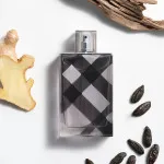 Brit For Men woda toaletowa dla mężczyzn 100 ml