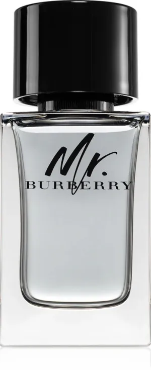 Burberry Mr. Burberry woda toaletowa dla mężczyzn 100 ml