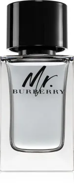 Mr. Burberry woda toaletowa dla mężczyzn 100 ml