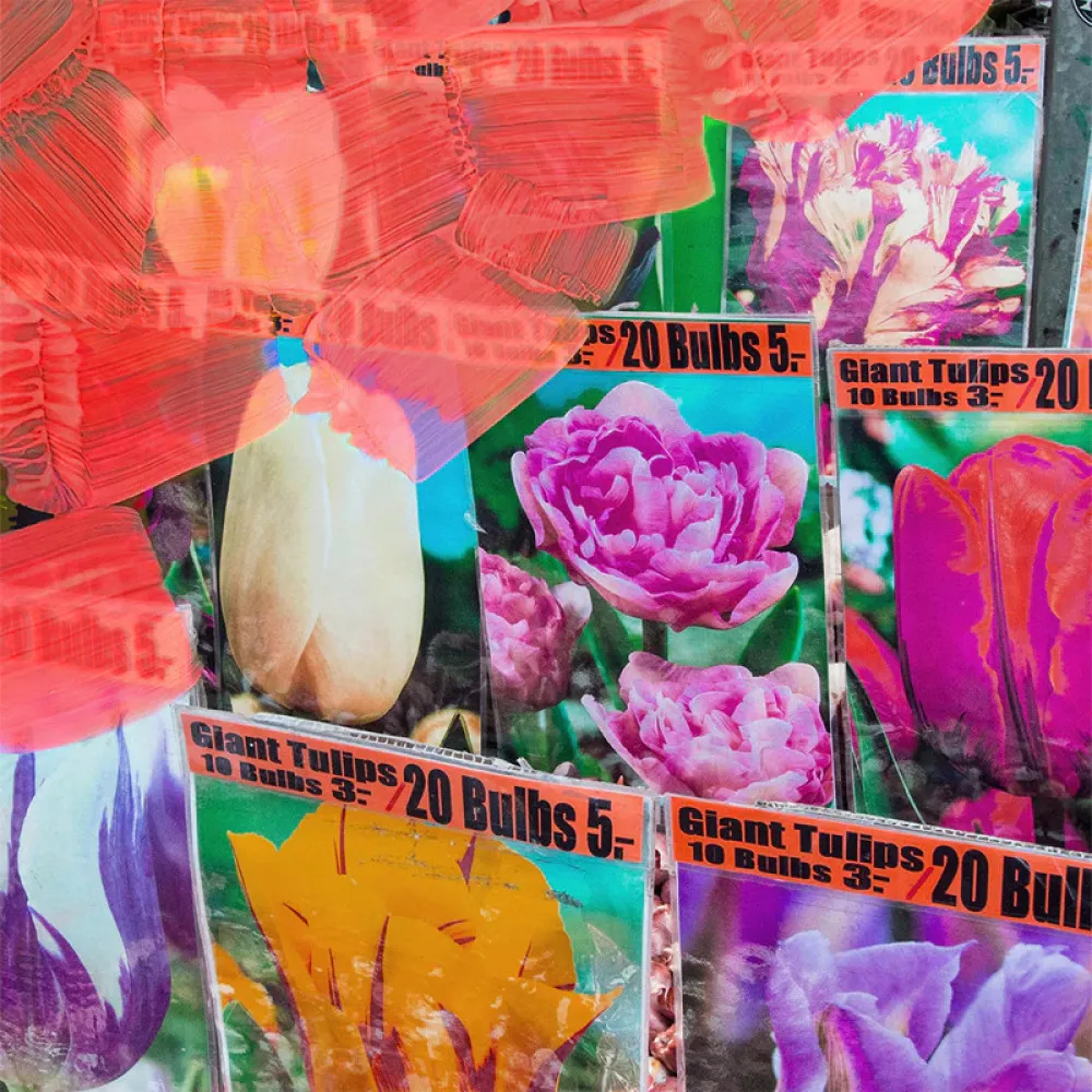 La Tulipe woda perfumowana dla kobiet 100 ml