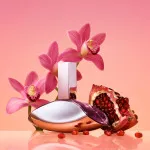 Euphoria woda perfumowana dla kobiet 50 ml