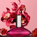 Euphoria woda perfumowana dla kobiet 50 ml