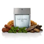 Truth For Men woda toaletowa 100 ml dla mężczyzn