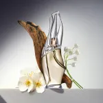 Cashmere Mist woda toaletowa dla kobiet 100 ml