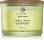 Awaken + Invigorate świeca zapachowa z 3 knotami 312 g