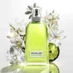 Cologne Come Together woda toaletowa unisex 100 ml