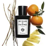 Colonia Essenza woda kolońska dla mężczyzn 180 ml