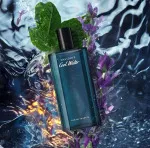 Cool Water woda toaletowa dla mężczyzn 40 ml