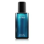 Cool Water woda toaletowa dla mężczyzn 40 ml