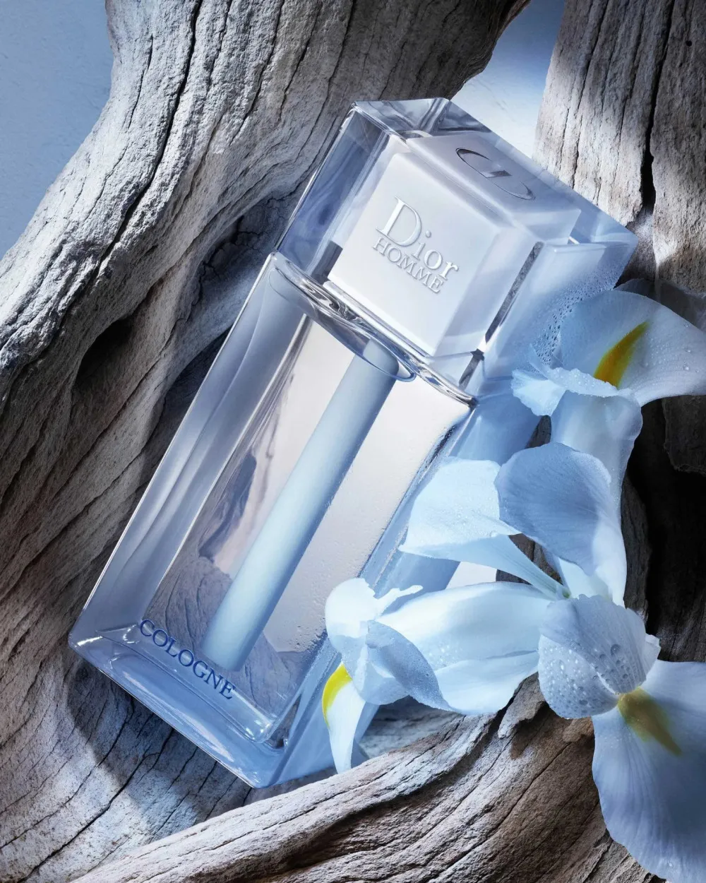 Homme Cologne 2013 woda kolońska dla mężczyzn 75 ml