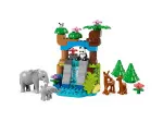 DUPLO® 10446 Rodzinki dzikich zwierząt 3 w 1