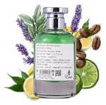 Factory Edition: Ultra Citrus U woda perfumowana 100 ml