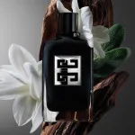 Gentleman Society woda perfumowana dla mężczyzn 100 ml