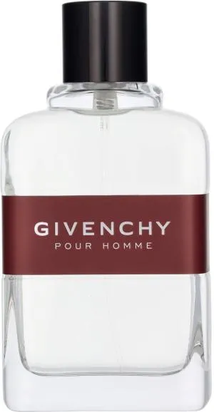 Givenchy Pour Homme woda toaletowa dla mężczyzn 100 ml