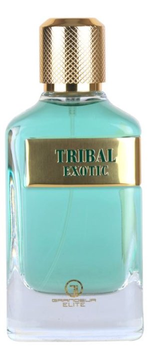 Tribal Exotic M 100 woda perfumowana
