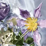 Aqua Allegoria Flora Salvaggia woda toaletowa dla kobiet 125 ml