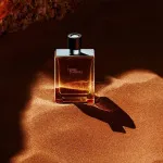 Terre d'Hermes woda toaletowa dla mężczyzn 50 ml