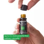 Incognito Olejek eteryczny Citronella BIO (10 ml) - nie pachnie trudnymi owadami