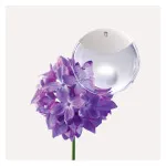 A Drop d'Issey woda perfumowana 50 ml dla kobiet