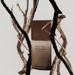 L'Eau d'Issey Pour Homme Wood&Wood woda perfumowana dla mężczyzn 100 ml