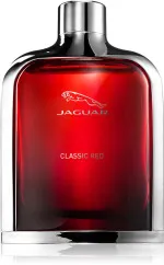 Classic Red woda toaletowa dla mężczyzn 100 ml
