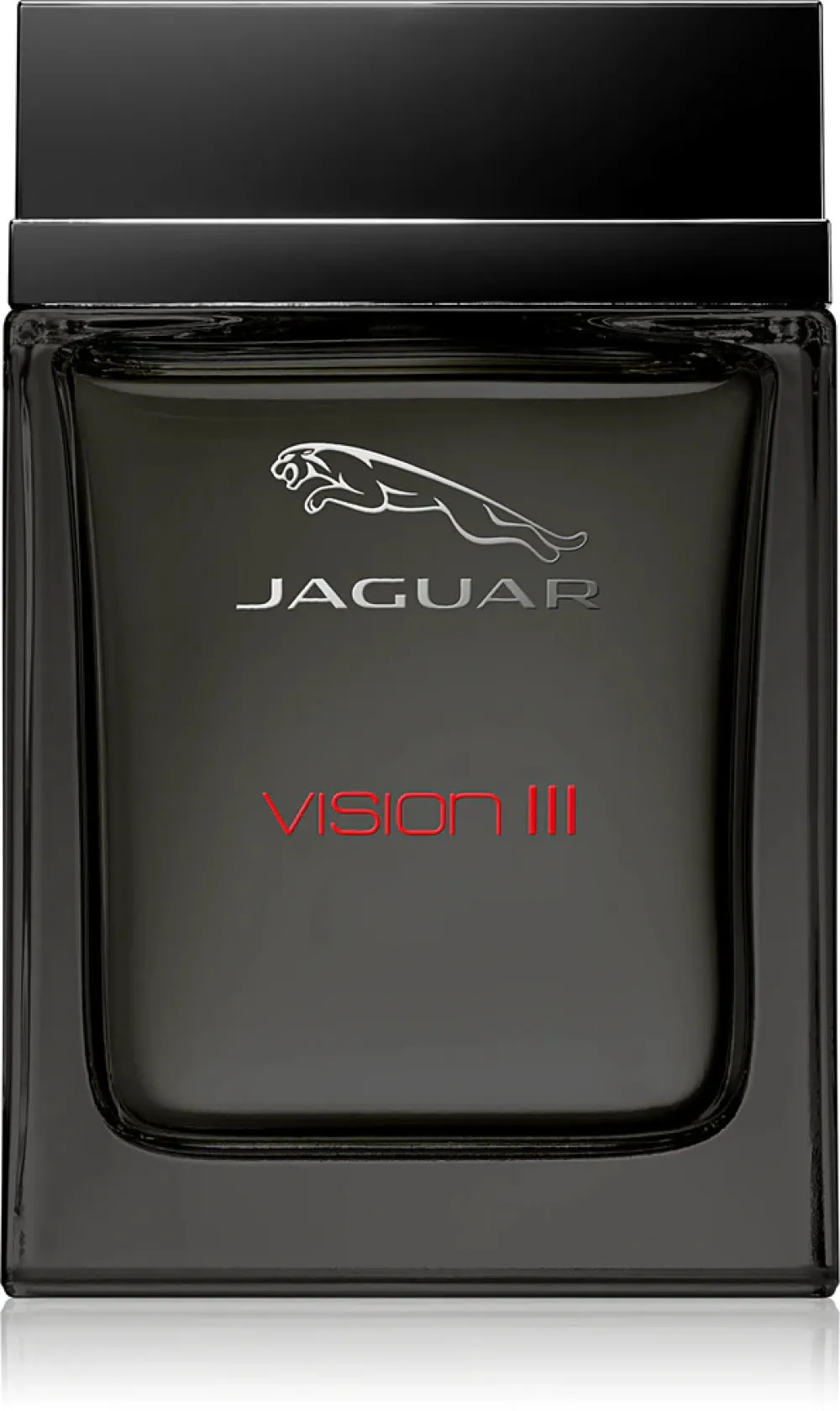 Vision III woda toaletowa dla mężczyzn 100 ml