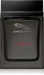 Vision III woda toaletowa dla mężczyzn 100 ml