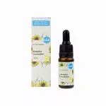 Kvitok Serum do twarzy - Ceramide Complex (10 ml) - odbudowuje warstwę ochronną skóry