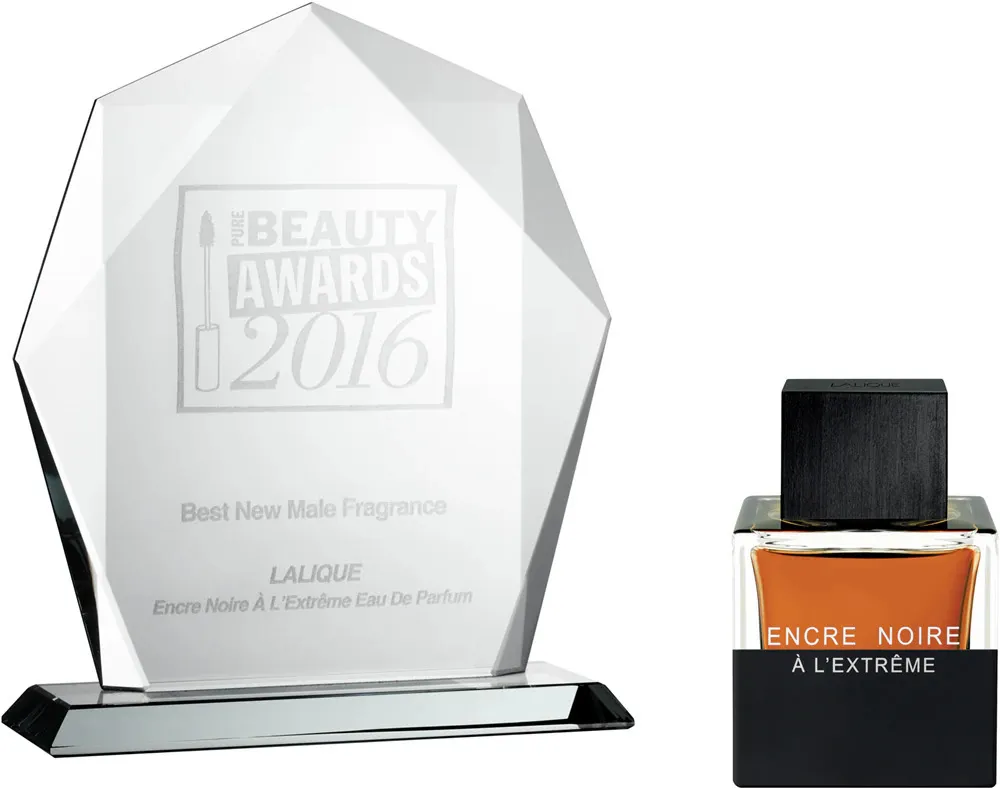 Encre Noire A L'Extreme woda perfumowana dla mężczyzn 100 ml