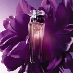 Trésor Midnight Rose woda perfumowana dla kobiet 50 ml