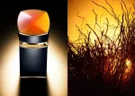 Le Gemme Ambero woda perfumowana dla mężczyzn 100 ml