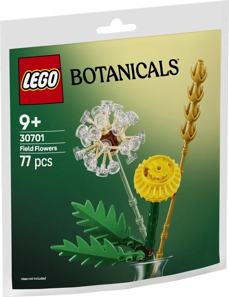 30701 Łąkowe kwiaty