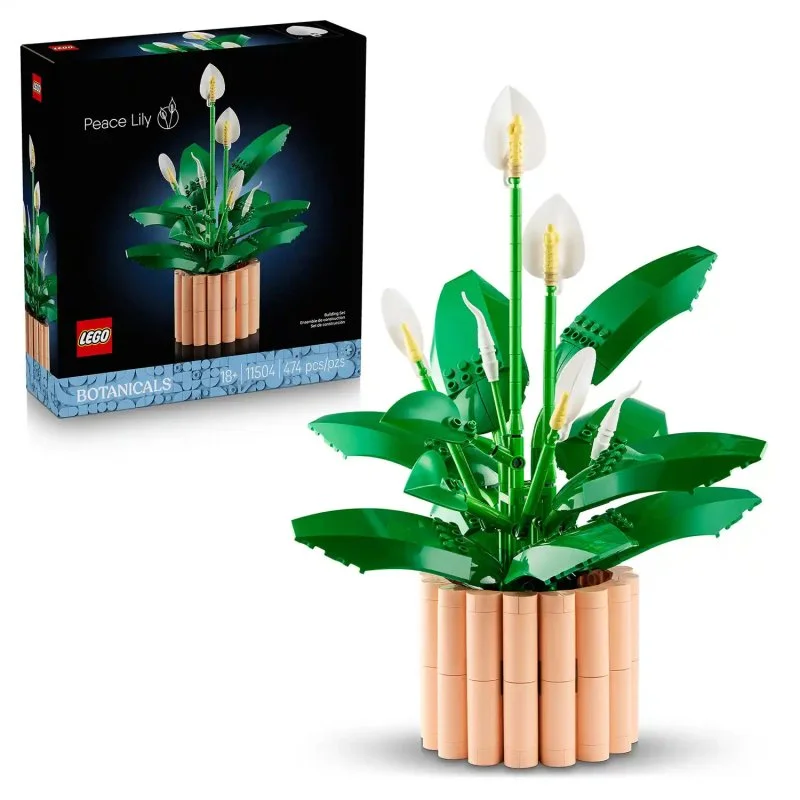 Botanicals 11504 Skrzydłokwiat