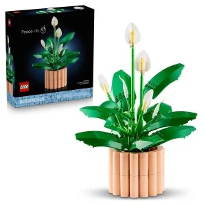 LEGO® Botanicals 11504 Skrzydłokwiat