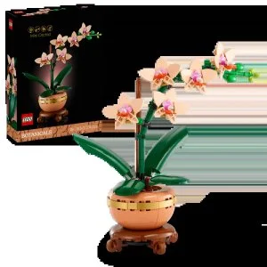LEGO® Botanicals 10343 Miniaturowa orchidea