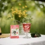 LEROS Mieszanka ziołowa Bucco Cold Brew - saszetki do zaparzania (20 x 1,5 g) - do przygotowania mrożonej herbaty