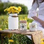 LEROS Herbata ziołowa Ziołowy detoks - saszetki do zaparzania (20 x 1,5 g) - dla oczyszczenia organizmu