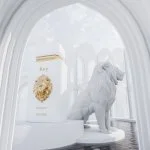 Rey U woda perfumowana 100 ml
